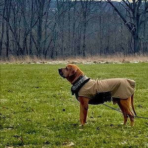 Big Boi says BOGO- Entire closet!!